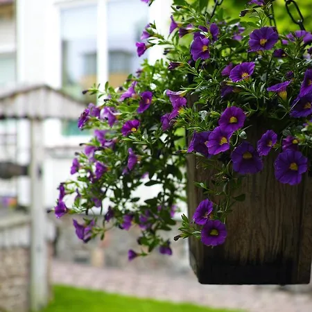 Apartment Adomo Rojus Palanga