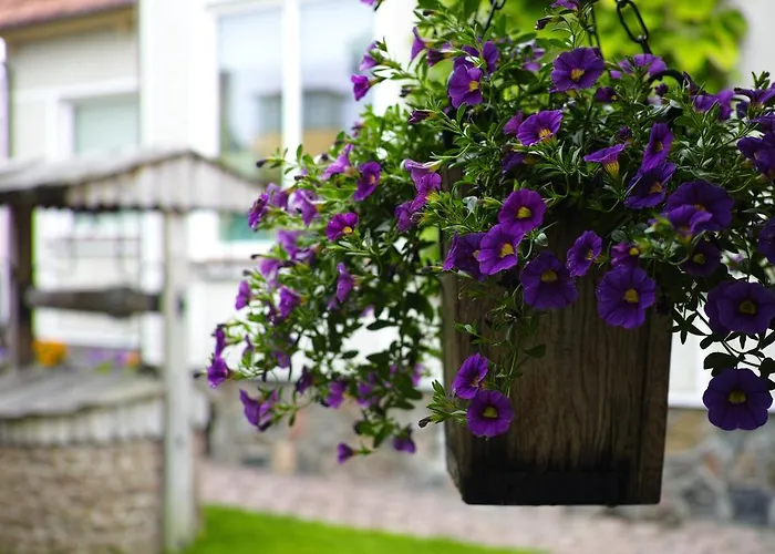 Апартаменти Adomo Rojus Паланга